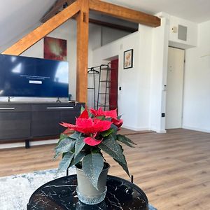 Studio Appartement